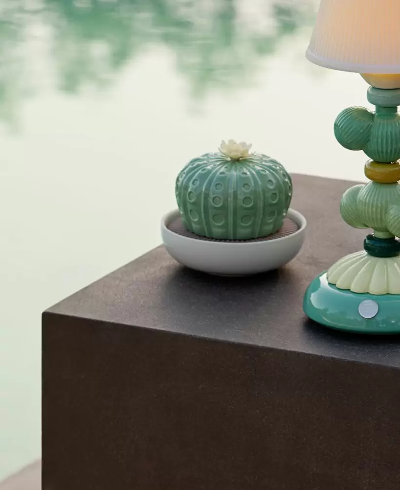 Diffusore profumo Lladrò Astrophytum Cactus. Profumo Gardens of Valencia - immagine 3