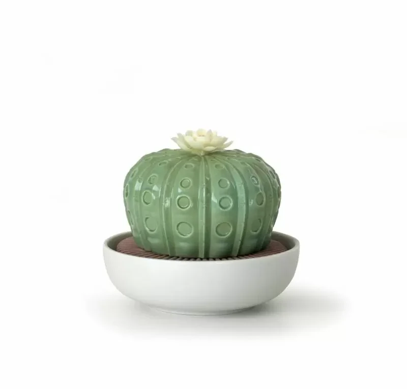 Diffusore profumo Lladrò Astrophytum Cactus. Profumo Gardens of Valencia