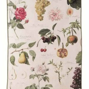 Canovaccio collezione "Botanical" 50x70 cm di Blanc Mariclò