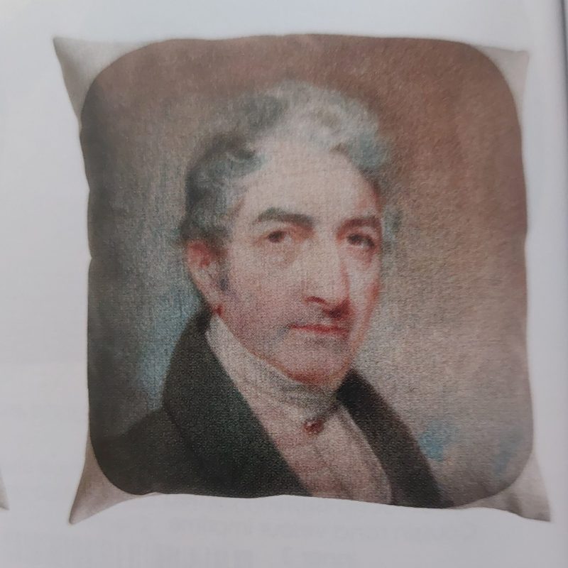 Cuscino stampato 45x45 collezione Sage Velvet di Blanc Mariclò