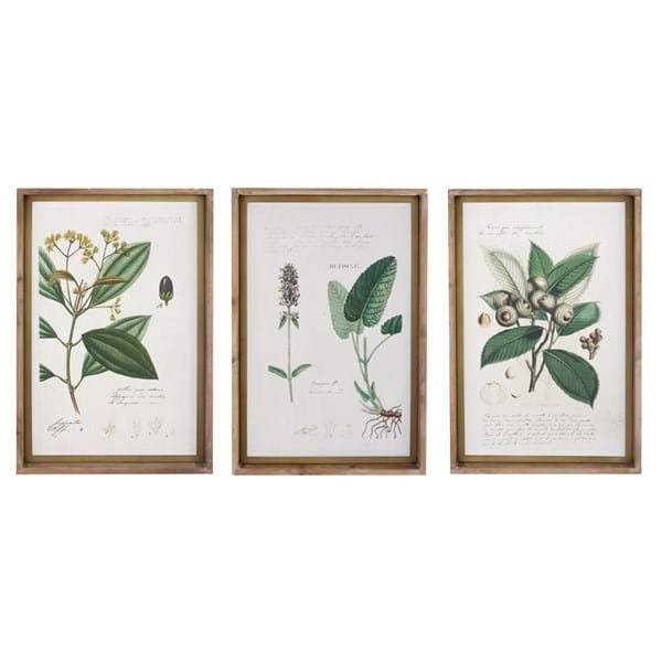 Quadro 3 varianti collezione Erbolario Toscano