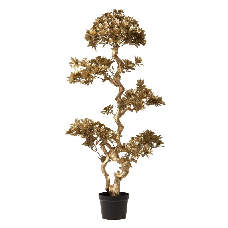 Albero Bonsai Dorato 78x50x152 Garpe