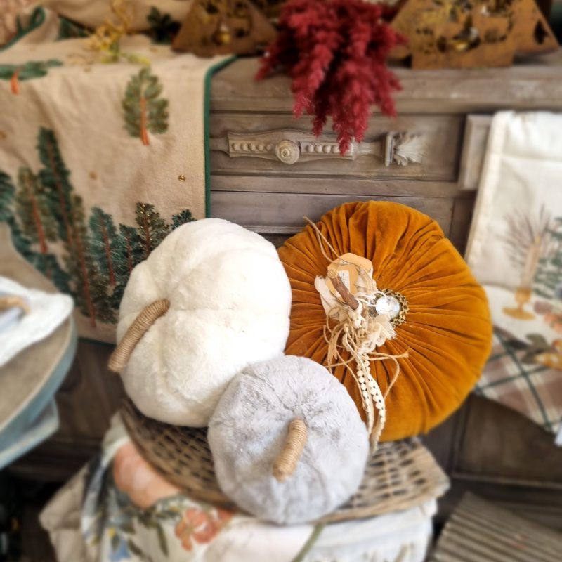 zucca color bianco di Blanc Mariclò